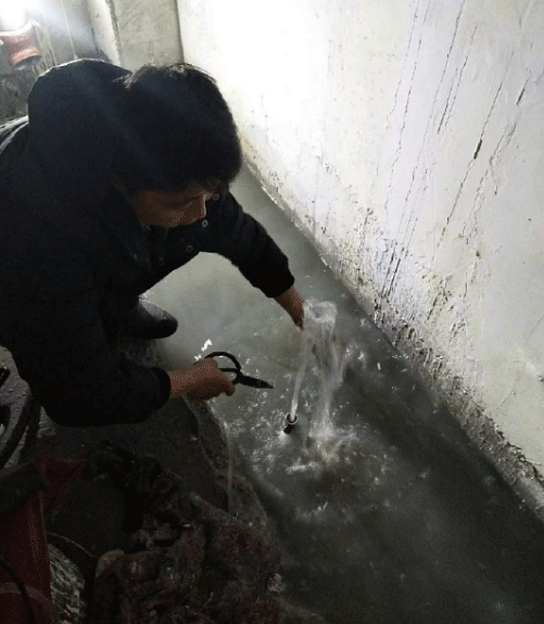 临沂罗庄区防水堵漏